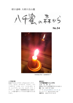 No.34 - ハチ蜜の森キャンドル