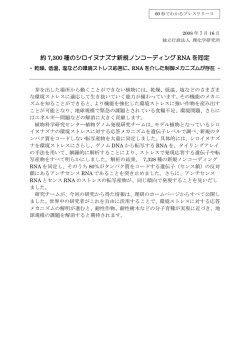 約 7,300 種のシロイヌナズナ新規ノンコーディング RNA を同定
