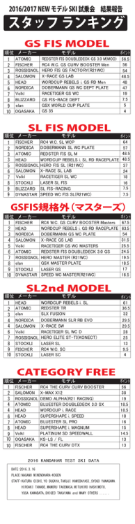 SL2nd MODEL GSFIS規格外（マスターズ） GS FIS MODEL SL FIS