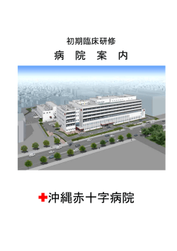 沖縄赤十字病院