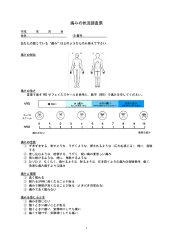 痛みアセスメント票