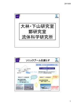 大林・下山研 - 東北大学 流体科学研究所