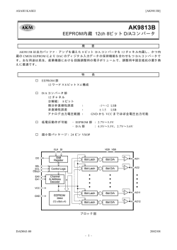 AK9813B