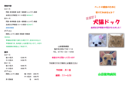 犬猫ドック - 山田動物病院