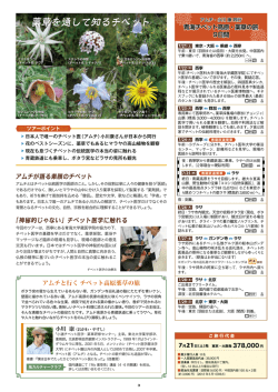 薬草を通して知るチベット