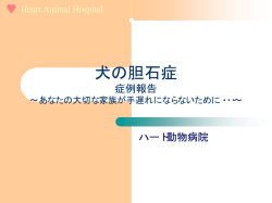 犬の胆石症 - ハート 動物病院