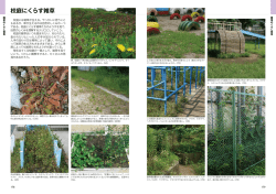 校庭にくらす雑草