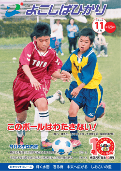 11月号一括ダウンロード(12162)KB - 京葉測量