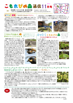 2014年 11月号