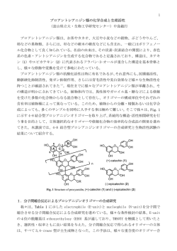 1 プロアントシアニジン類の化学合成と生理活性 （富山県立大・生物工学研究セ