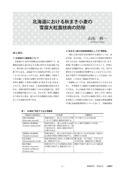 北海道における秋まき小麦の 雪腐大粒菌核病の防除