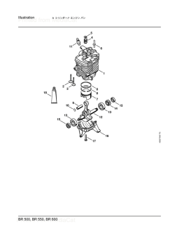 Printed from MediaCat Printed from MediaCat