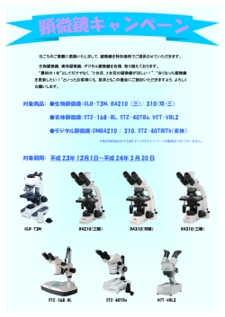 2011年12月1日～2012年3月31日