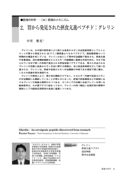 2．胃から発見された摂食亢進ペプチド：グレリン