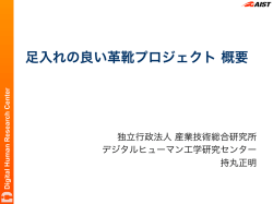 足入れの良い革靴プロジェクト 概要