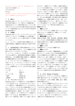 Forgotten Axis：Romania S＆T206付属ゲーム 2002年4月 Ver.1