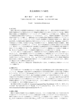 電子情報通信学会ワードテンプレート \(タイトル\)