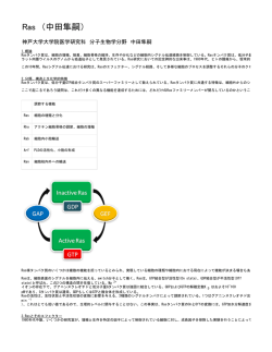 PDF へエクスポート