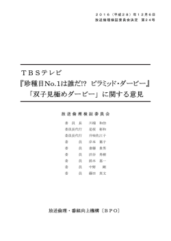 TBSテレビ 『珍種目No.1は誰だ!? ピラミッド・ダービー』 「双子見極め