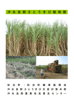 沖 永 良 部 さ と う き び 栽 培 暦