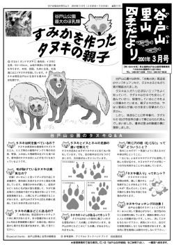 タヌキは典型的な雑食性でネズミや カエル、ミミズ等の小動物やドングリ