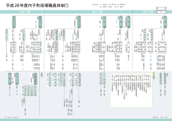 P20-23 平成28年度内子町役場職員体制