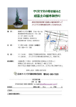 珪藻土の植木鉢作り