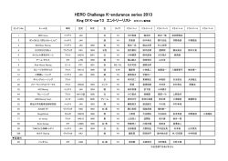 HERO Challenge K-endurance series 2013