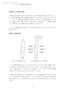 2-2.糖度分析で生育傾向を把握
