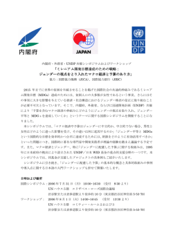 フライヤー（240KB） - 国連開発計画（UNDP）