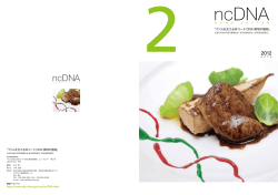 newsletter_ncDNA-2 （PDF 3.1MB）