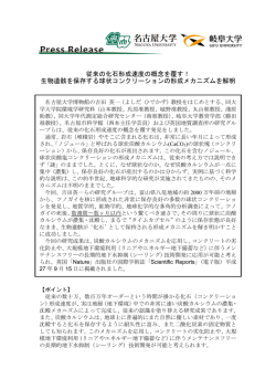 従来の化石形成速度の概念を覆す！