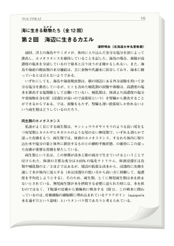 カニクイガエル - 東海大学出版部 TOKAI UNIVERSITY PRESS