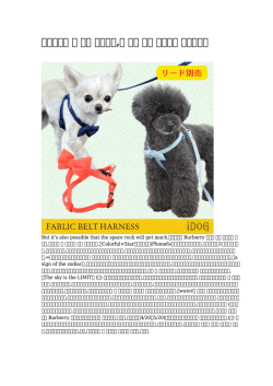 【精巧な】 犬 首輪 バックル,犬 首輪 本革 国内出荷 大ヒット中