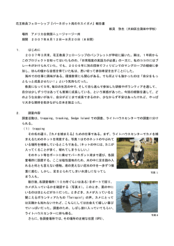 花王教員フェローシップ『バーネガット湾のキスイガメ』報告書 新貝 弥生