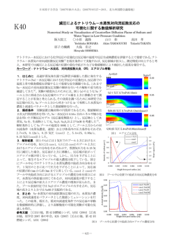 水蒸気対向流拡散反応の 可視化に関する数値解析研究