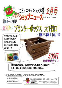 植木鉢の丸型、角型どちらも1個入ります!!