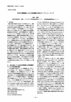 pdf 408KB