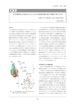 解説 紅色細菌光合成反応中心における励起状態と電子移動の量子化学