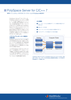 PolySpace Server for C/C++ 7