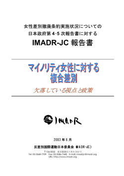 女性差別撤廃条約実施状況について日本政府第4・5報告書に対する