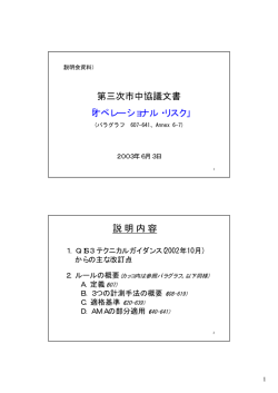 第三次市中協議文書 「オペレーショナル・リスク」 説 明 内 容