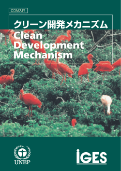クリーン開発メカニズム - Capacity Development for the CDM