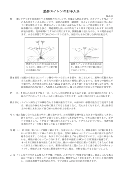 熱帯スイレンのお手入れ方法はこちら