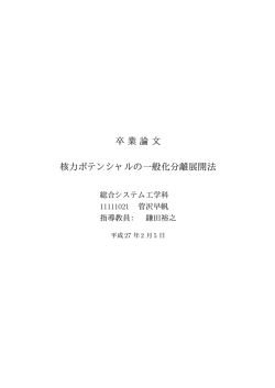 卒論PDF - rabbit.mns.kyutech.ac.jp