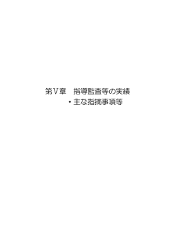 第Ⅴ章 指導監査等の実績・主な指摘事項等（PDF：817KB）