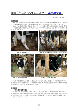 4 高梁DEカウコンフォート1（牛床の改善）