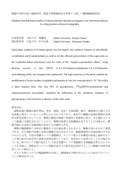 糖鎖の効率合成と機能研究：陽電子断層撮影法を利用した新しい糖鎖