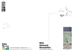 RNA - ノンコーディングRNAネオタクソノミ