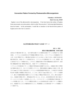 アブストラクト集 - 明治大学MIMS現象数理学研究拠点